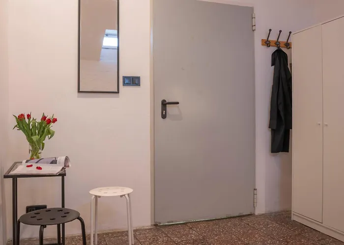 New World St بيت شباب